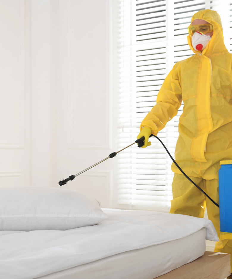 Professional Pest Control Team in Willaston